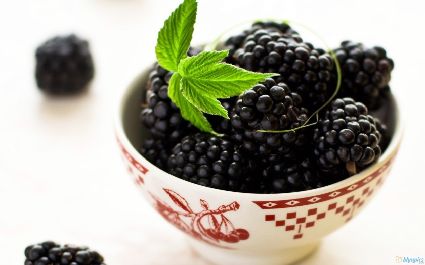 blackberry_fruit-1920x1200